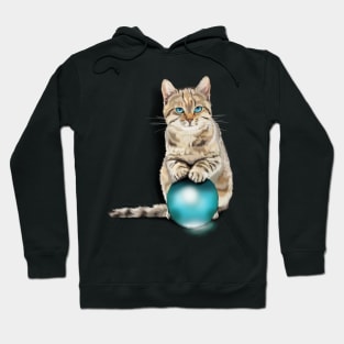 Cat on Glass Ball Hoodie